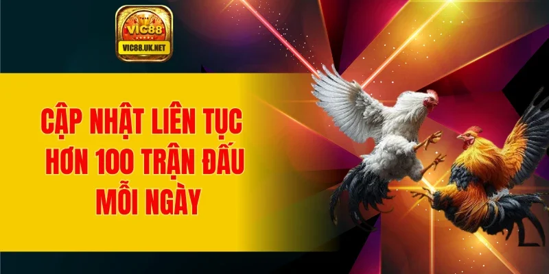 Cập nhật liên tục hơn 100 trận đấu mỗi ngày