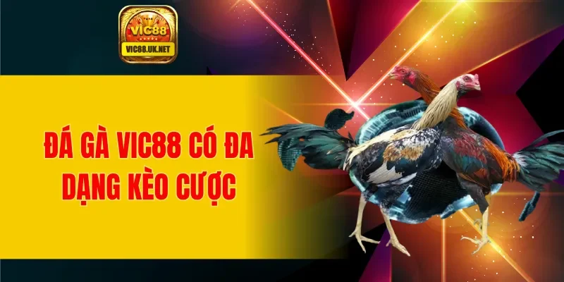 Đá gà VIC88 có đa dạng kèo cược